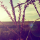 tinypng-image